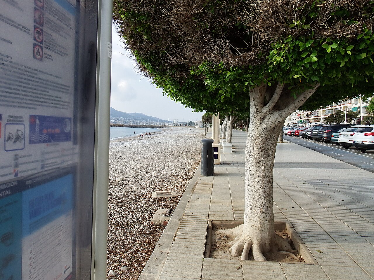 Playa de la Roda — Альтеа