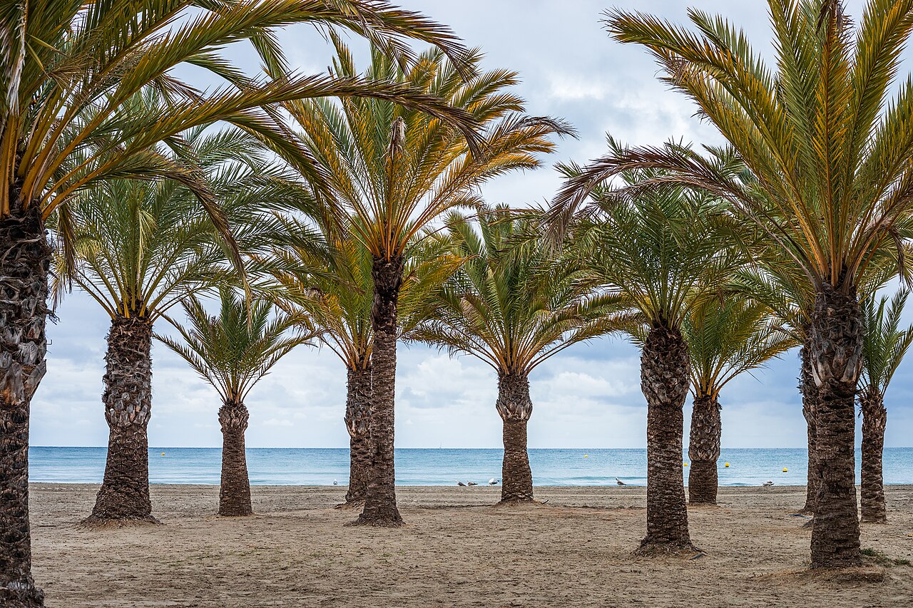 Playa de Levante (Gran Playa) — Санта-Пола