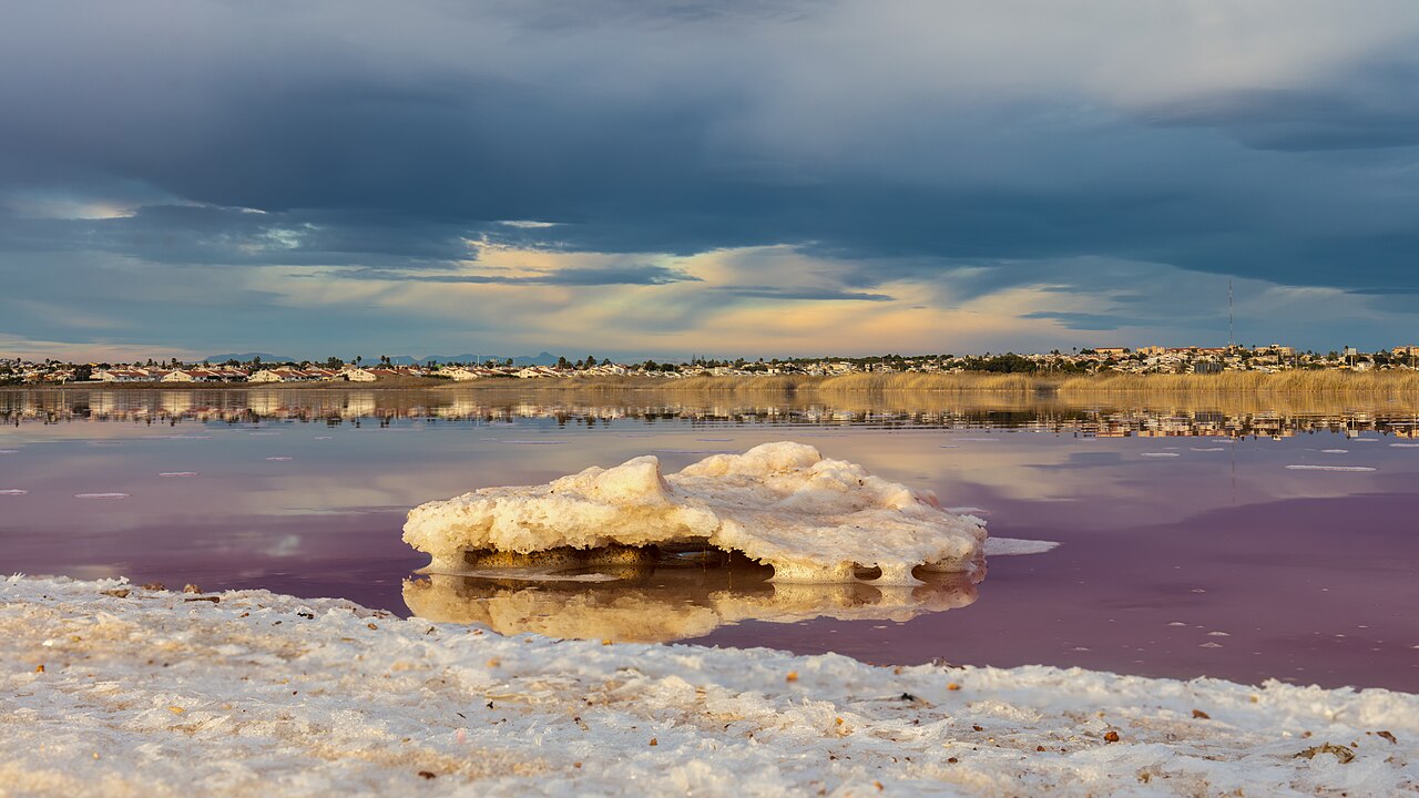Рожеве озеро (Laguna Rosa) — Торрев'єха