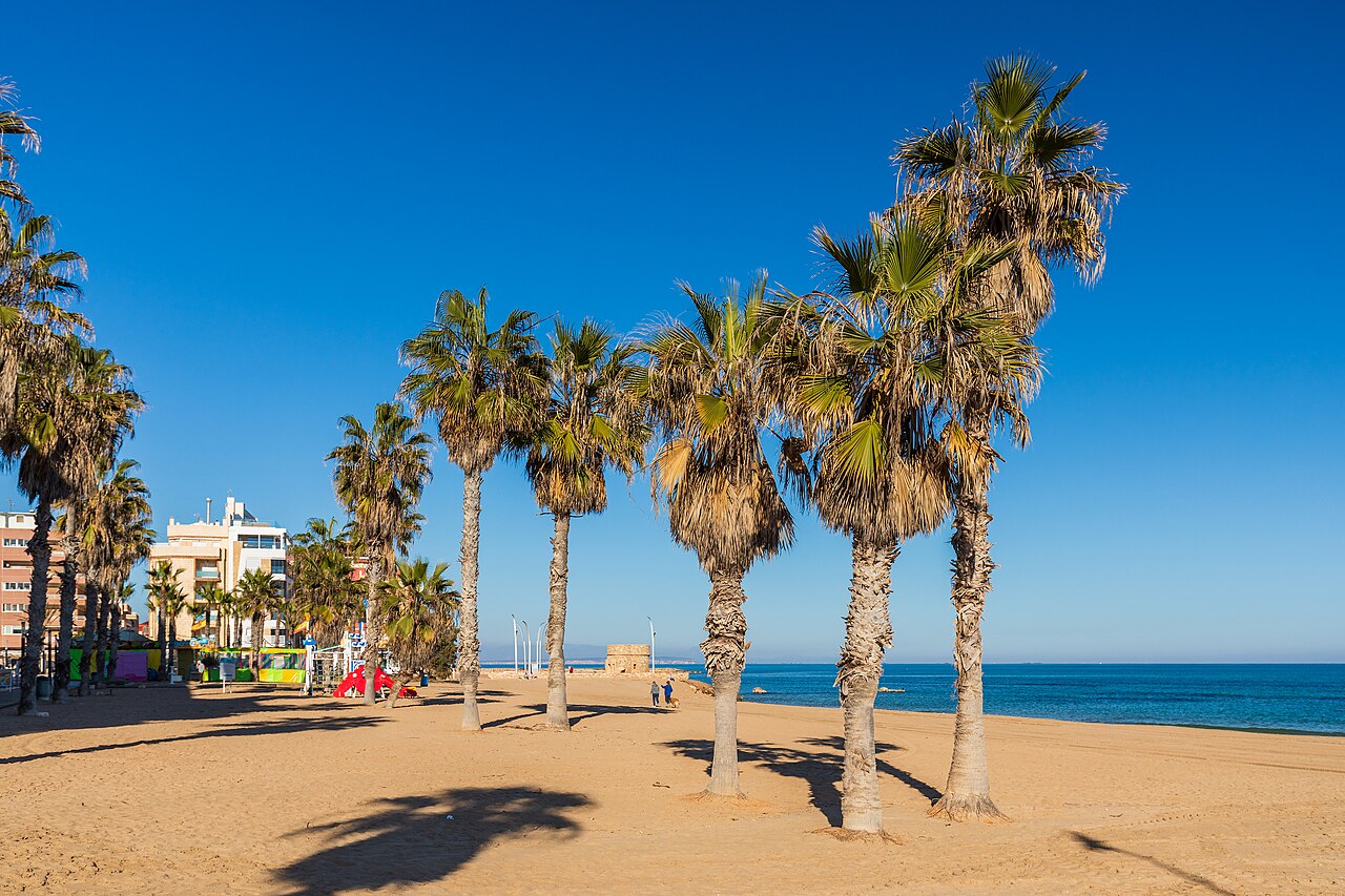 Playa de La Mata — Торрев'єха