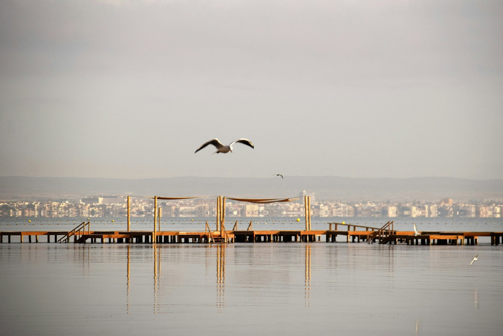Кофейные встречи в Los Alcazares для защиты Mar Menor